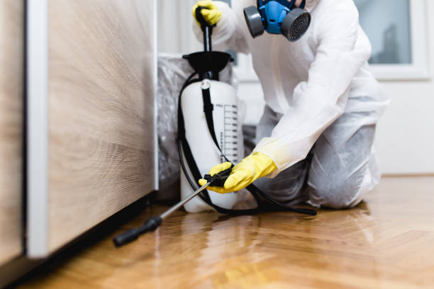 Best Affordable Pest Control Services  in Troy, TN