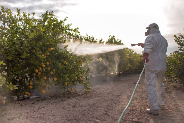 Best Commercial Pest Control Services  in Troy, TN