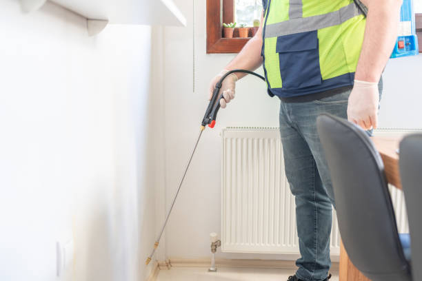 Best Wasp Removal Services  in Troy, TN